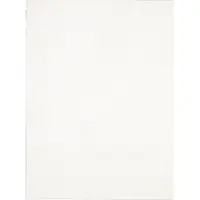 The Carpet Comfy Vloerkleed – Zacht bonttapijt, 100% polyester, wasbaar, geschikt voor vloerverwarming, Öko-Tex gecertificeerd, crème, 300 x 400 cm