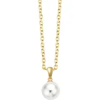 New Bling 9NBG-0710 Gouden ketting met Hangertje - Hondenpootje - Poot afdruk - 9,2x11,6mm - Ankerschakel - 39+3+3cm - 14 Karaat - Goud