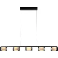 Paul Neuhaus 5-lichts hanglamp Rika zwart