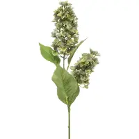 Emerald - Hydrangea paniculata spray x2 green 76 cm Emerald
