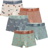 Next Onderbroek duifblauw / lichtblauw / roestrood / natuurwit
