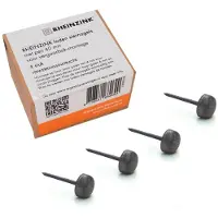 Rheinzink siernagel lood - 40mm - zak 4 - 1730005200