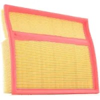 RIDEX 8A0079P Luchtfilter