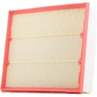 RIDEX 8A1610 Luchtfilter