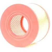 RIDEX 8A0412 Luchtfilter