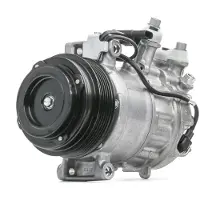 RIDEX 447K0455 Aircopomp