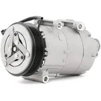 RIDEX 447K0274 Aircopomp