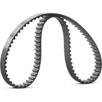 RIDEX 306T0248 Distributieriem