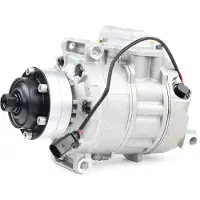RIDEX 447K0192 Aircopomp