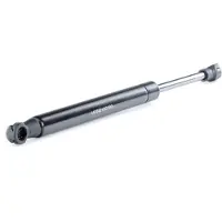 RIDEX 219G0893 Gasveer achterklep