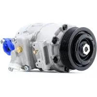 RIDEX 447K0253 Aircopomp