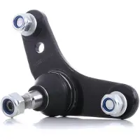 RIDEX 2462S0251 Fuseekogel