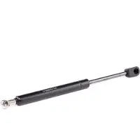 RIDEX 219G0842 Gasveer achterklep