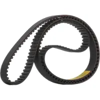 RIDEX 306T0031 Distributieriem