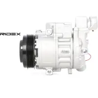 RIDEX 447K0229 Aircopomp