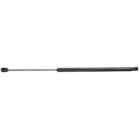 RIDEX 219G0310 Gasveer achterklep