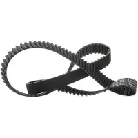 RIDEX 306T0019P Distributieriem