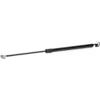 RIDEX 219G0506 Gasveer achterklep
