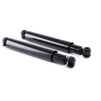 RIDEX 854S2153 Schokdemper