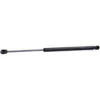 RIDEX 219G1055 Gasveer achterklep