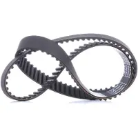RIDEX 306T0252 Distributieriem