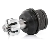 RIDEX 2462S0253 Fuseekogel