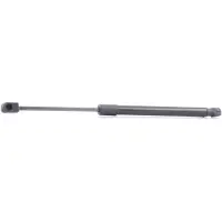 RIDEX 219G0507 Gasveer achterklep