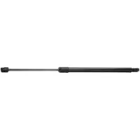 RIDEX 219G0544 Gasveer achterklep