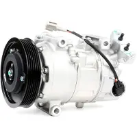 RIDEX 447K0142 Aircopomp