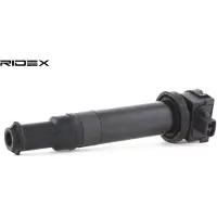RIDEX 689C0134 Bobine