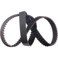 RIDEX 306T0100 Distributieriem