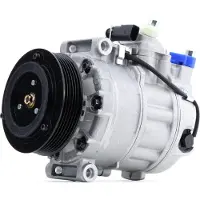 RIDEX 447K0417 Aircopomp