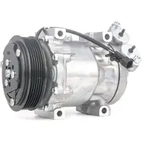 RIDEX 447K0102 Aircopomp