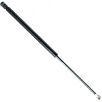 Einparts EP9289GS Gasveer achterklep