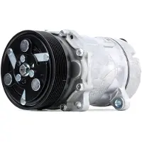 RIDEX 447K0217 Aircopomp