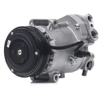 RIDEX 447K0269 Aircopomp