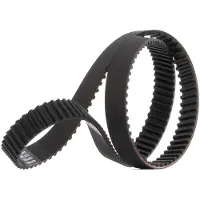 RIDEX 306T0053P Distributieriem