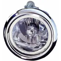 Diederichs 6870088 Mistlamp
