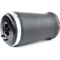 RIDEX 4119A0013 Luchtbalg
