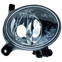 Diederichs 1018089 Mistlamp