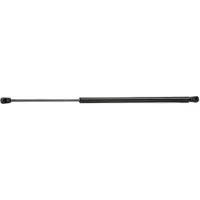 RIDEX 219G0151 Gasveer achterklep
