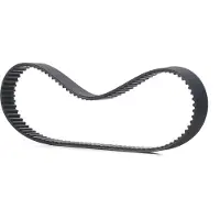 RIDEX 306T0202 Distributieriem