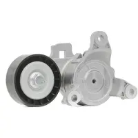 RIDEX 310T0259 Spanrol, poly V-riem