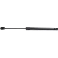 RIDEX 219G0190 Gasveer achterklep