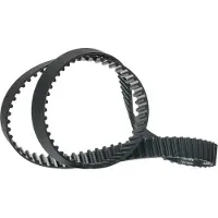 RIDEX 306T0095 Distributieriem