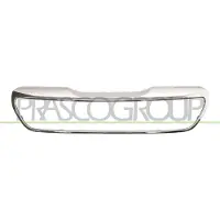 BLIC 6502-07-5504991P Frame, radiateurgrille