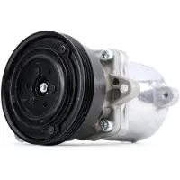 RIDEX 447K0290 Aircopomp