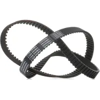 RIDEX 306T0198P Distributieriem