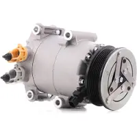 RIDEX 447K0279 Aircopomp