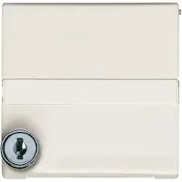 ABB Busch-Jaeger Adapterplaat met tekst en slot IP44 - 2CKA001710A3791